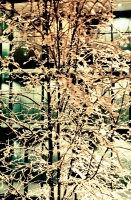 01-20