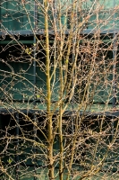 04-05