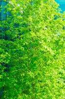 05-02