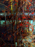 autumn, please do not come